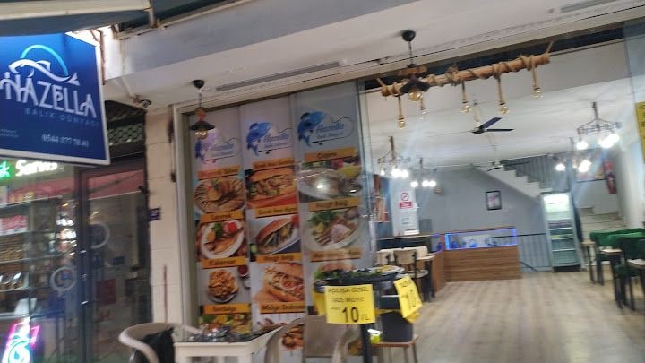 Hazella Balık Dünyası