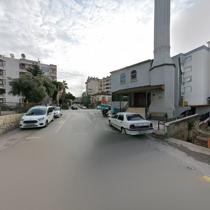 Fotoğraf 7