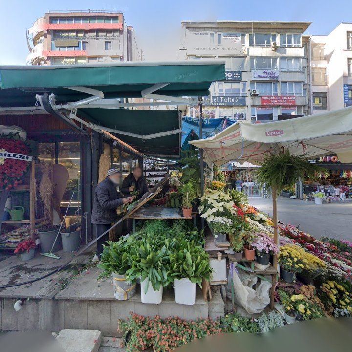 Fotoğraf 10