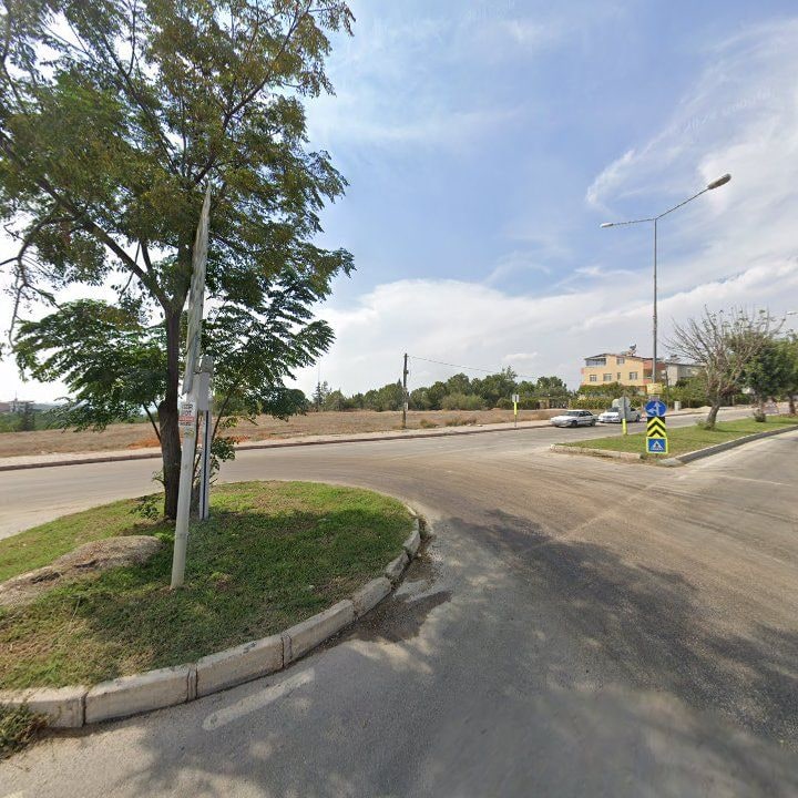 Fotoğraf 10
