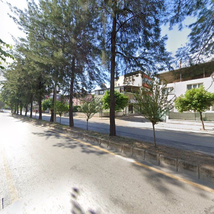 Fotoğraf 7