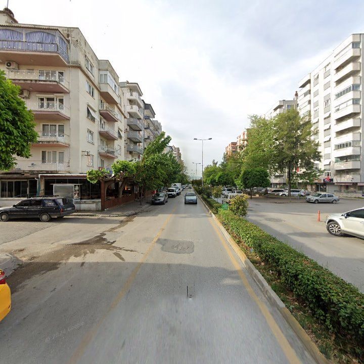 Fotoğraf 11