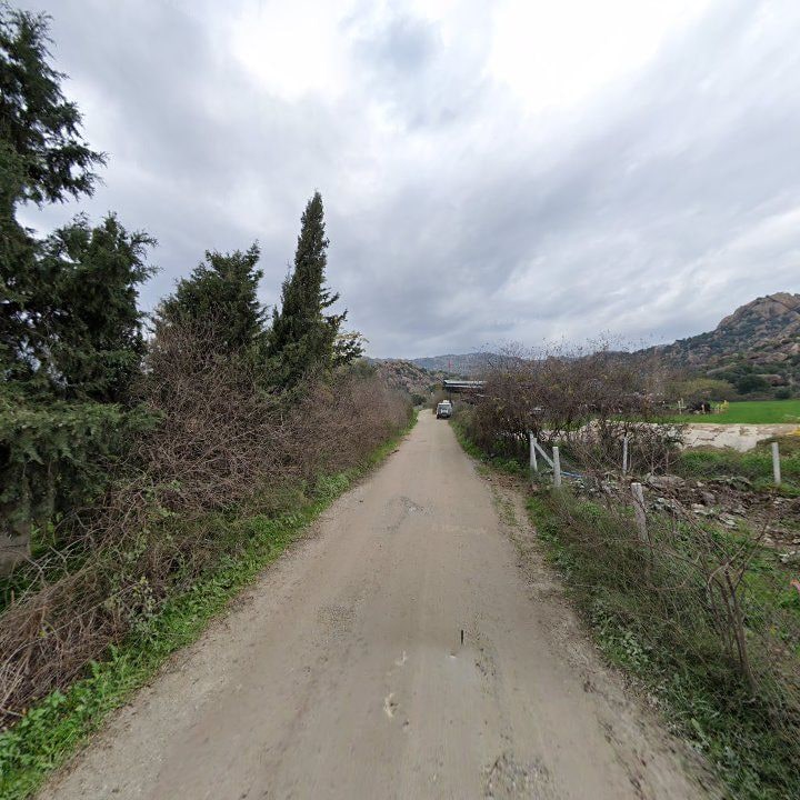 Fotoğraf 9