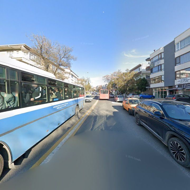 Fotoğraf 11