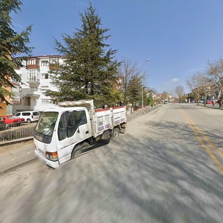 Fotoğraf 10