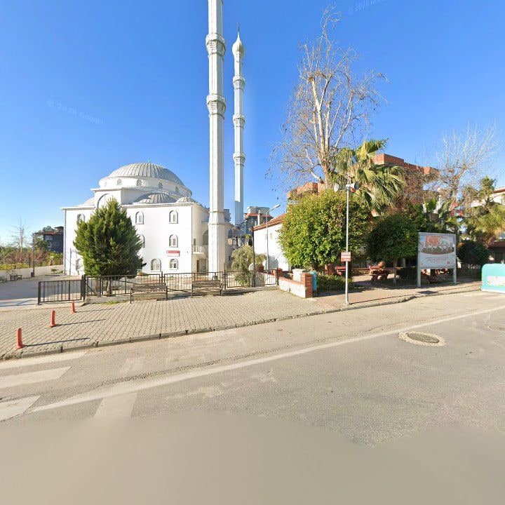 Fotoğraf 8