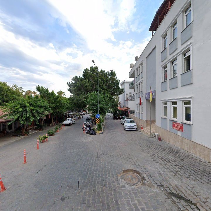 Fotoğraf 8