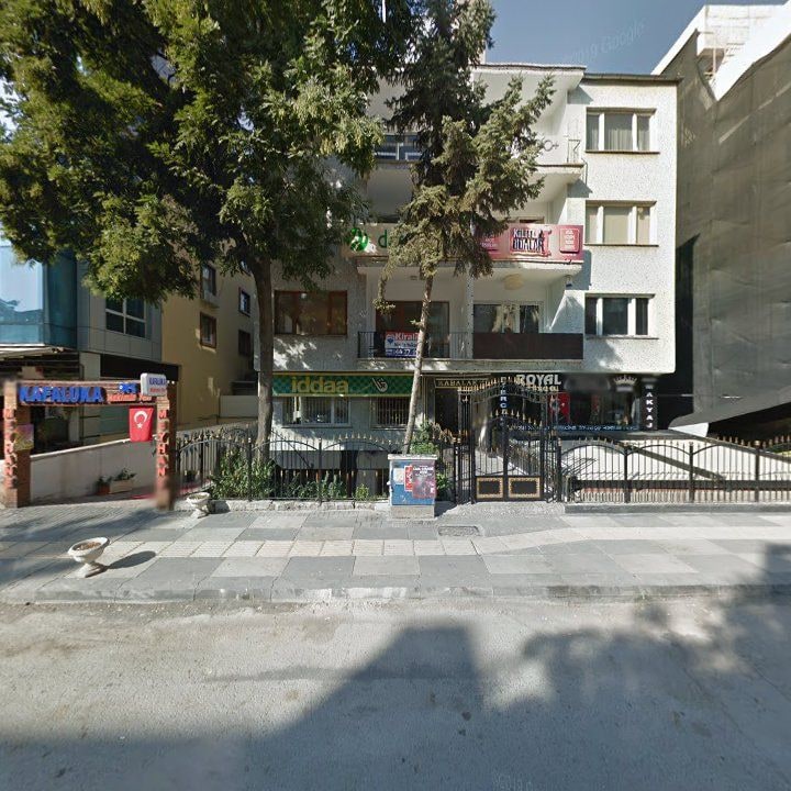 Fotoğraf 10