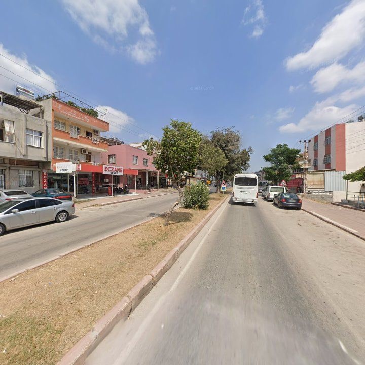 Fotoğraf 8