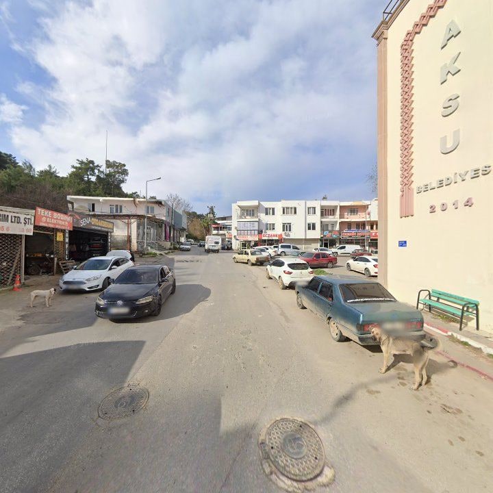 Fotoğraf 7