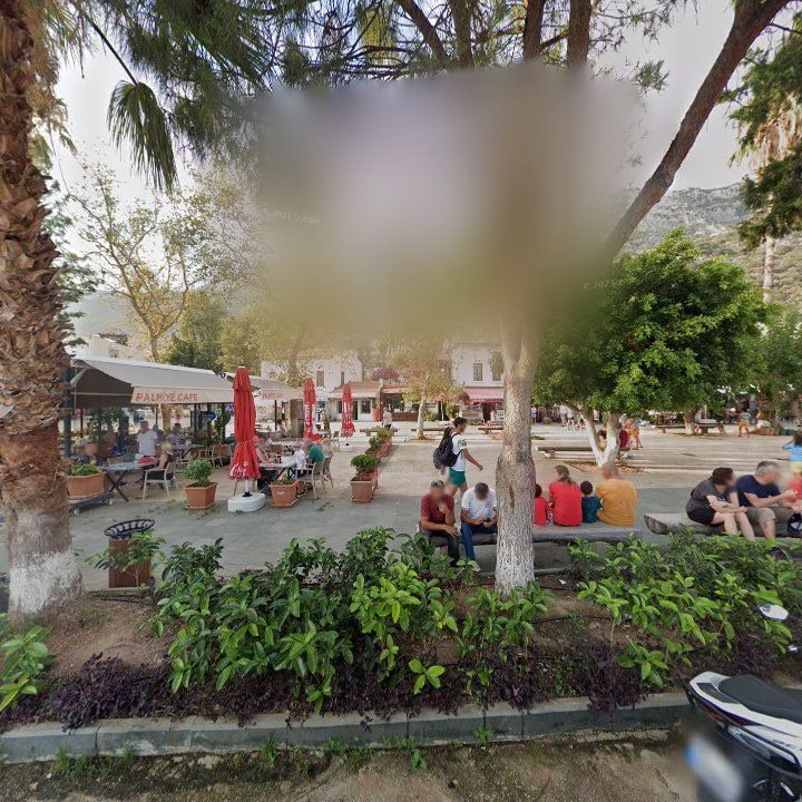 Fotoğraf 8