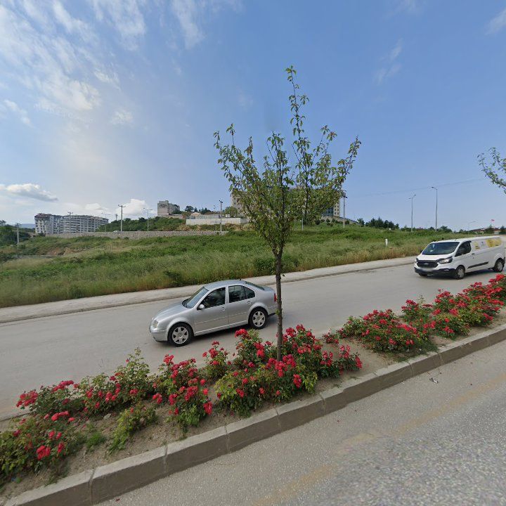 Fotoğraf 3