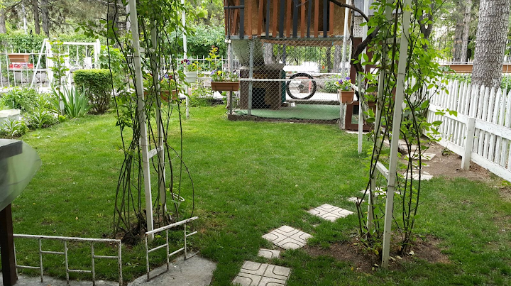 High Garden