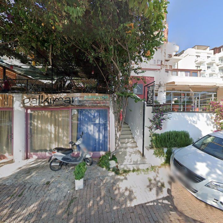 Fotoğraf 10
