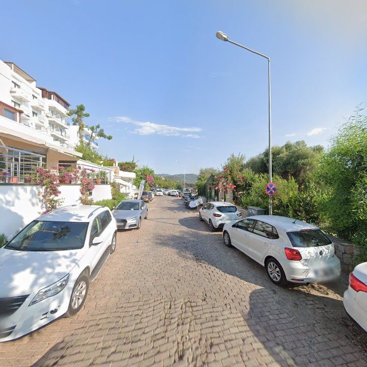Fotoğraf 11