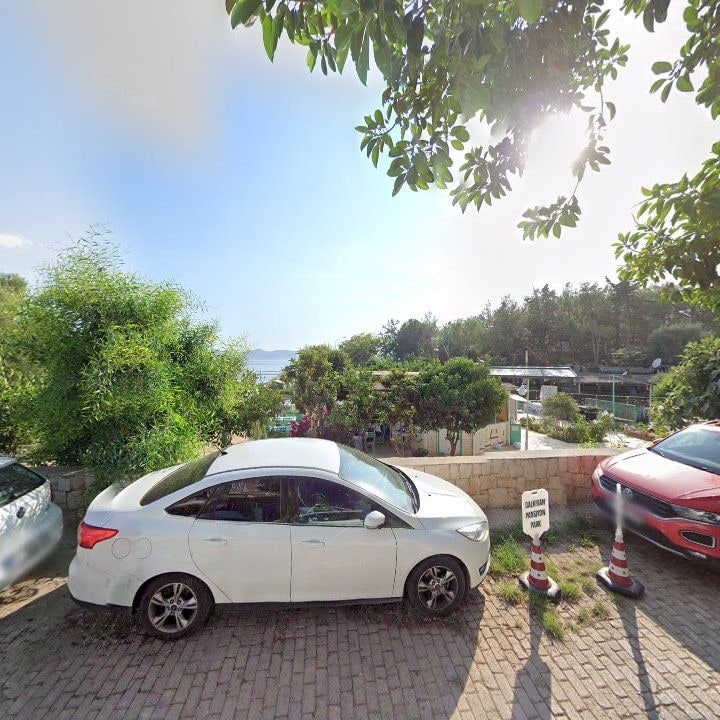 Fotoğraf 8