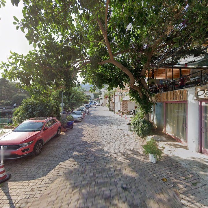 Fotoğraf 9