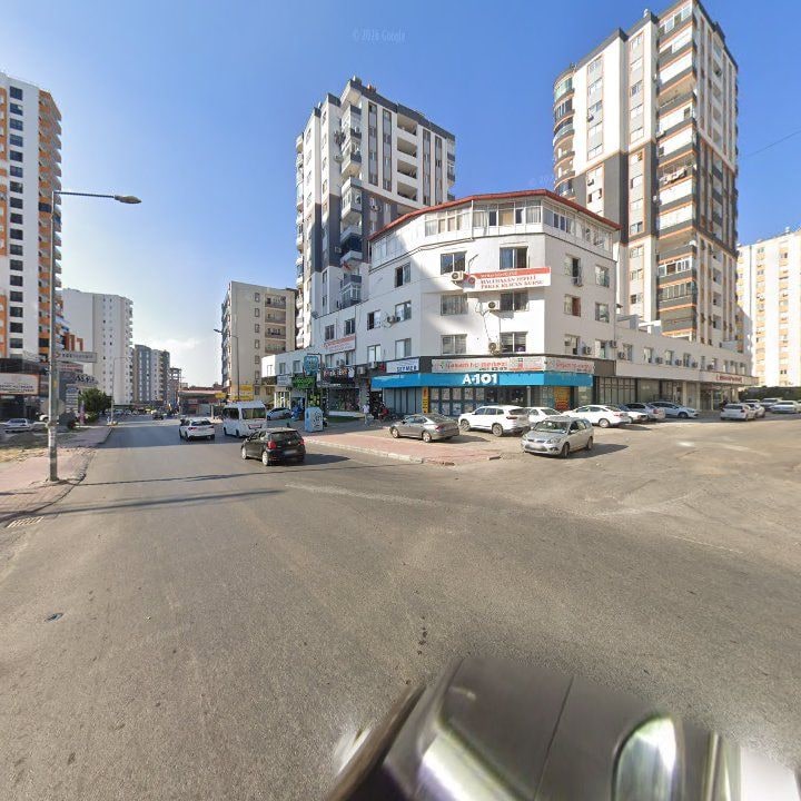 Fotoğraf 8