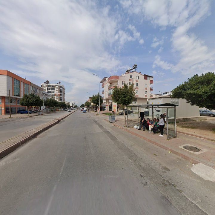 Fotoğraf 8