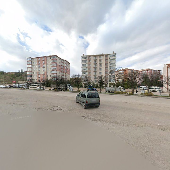 Fotoğraf 8
