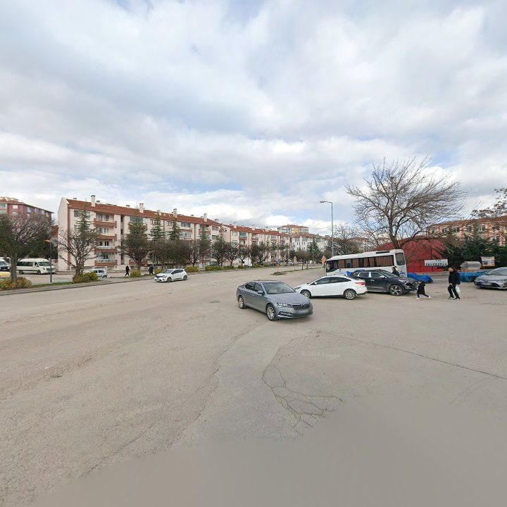 Fotoğraf 9