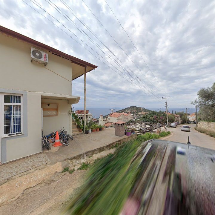 Fotoğraf 8