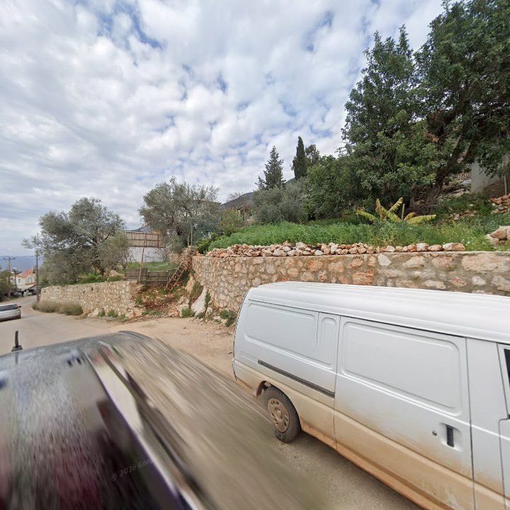 Fotoğraf 9