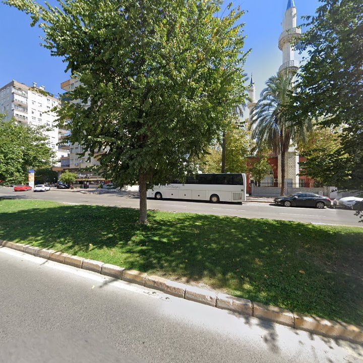 Fotoğraf 10