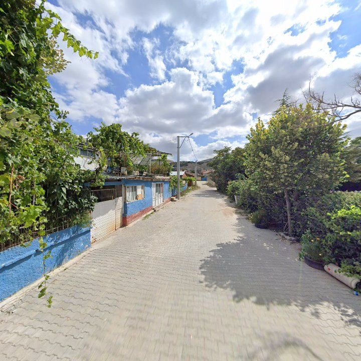 Fotoğraf 5
