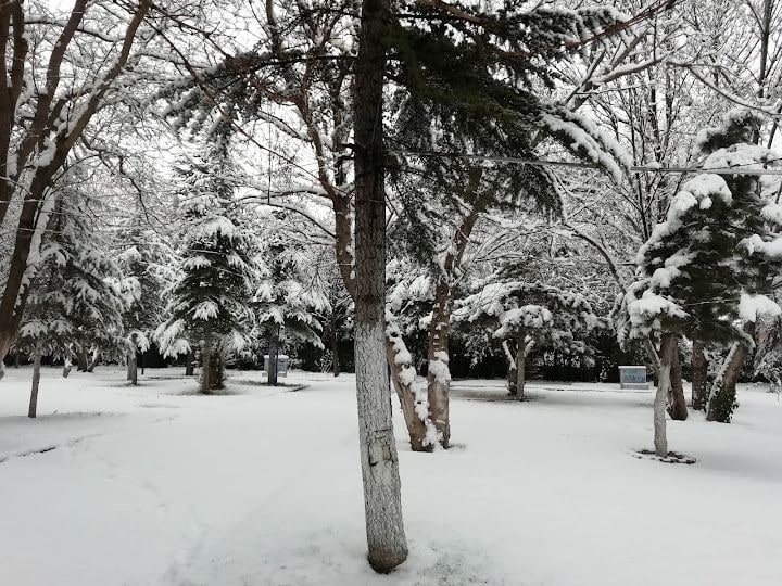 Hısım Aile Çay Bahçesi