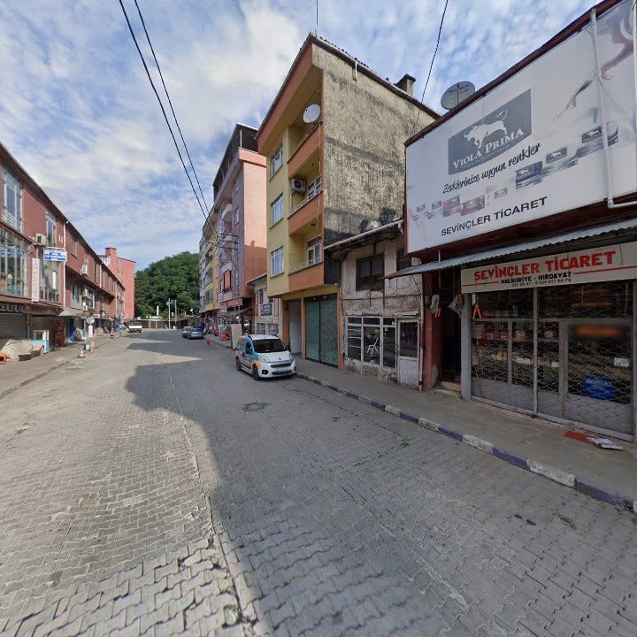 Fotoğraf 9