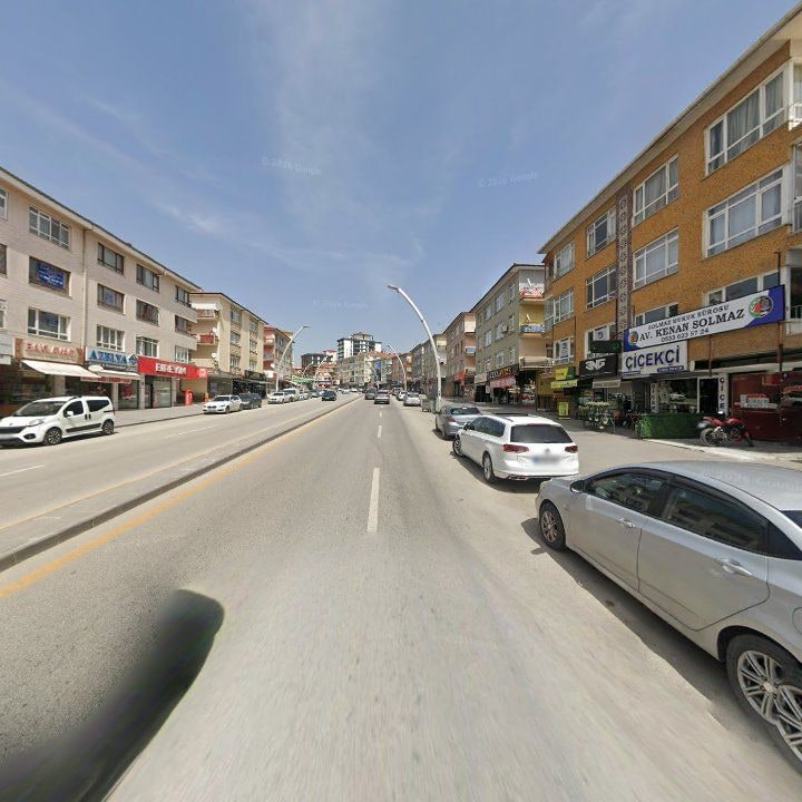 Fotoğraf 7