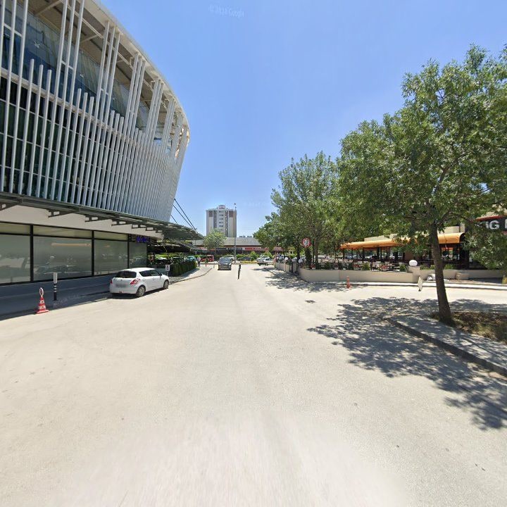 Fotoğraf 8