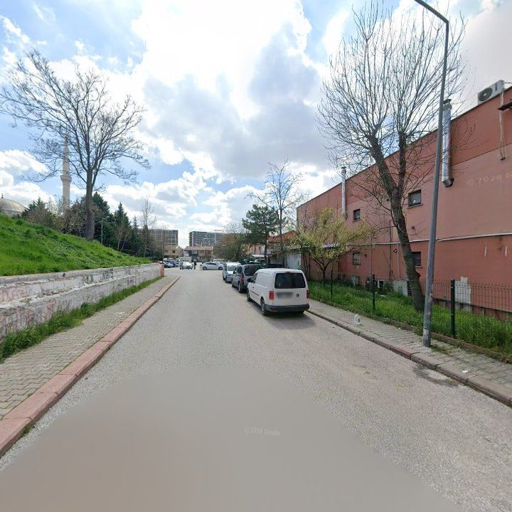 Fotoğraf 11