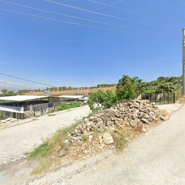 Fotoğraf 8