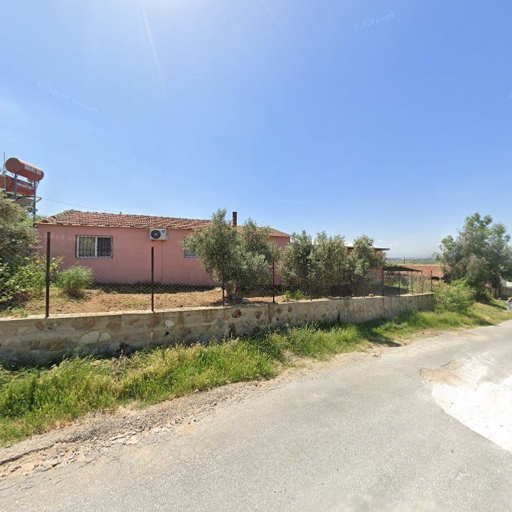 Fotoğraf 10