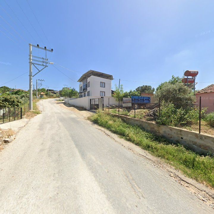 Fotoğraf 9
