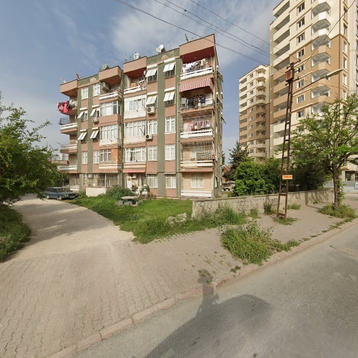 Fotoğraf 3