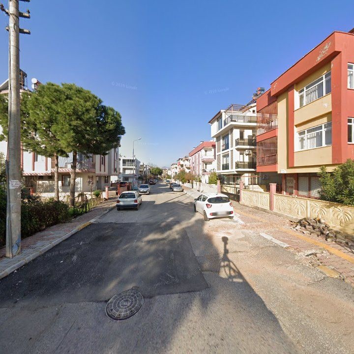 Fotoğraf 7