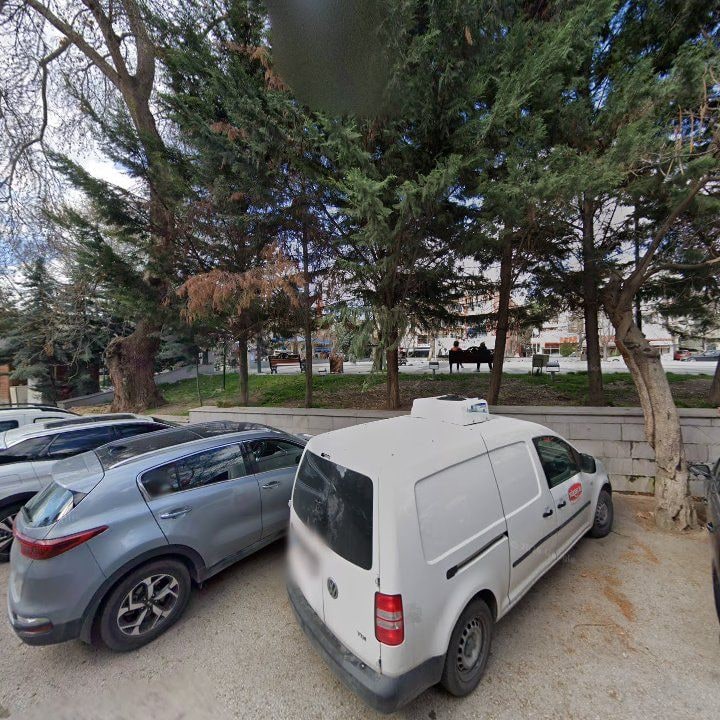 Fotoğraf 8
