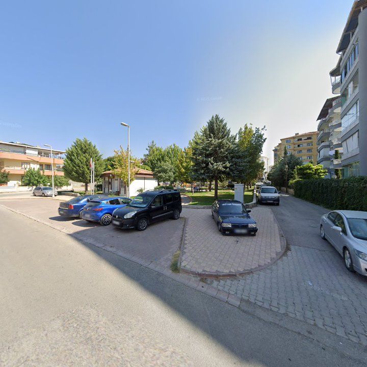 Fotoğraf 6
