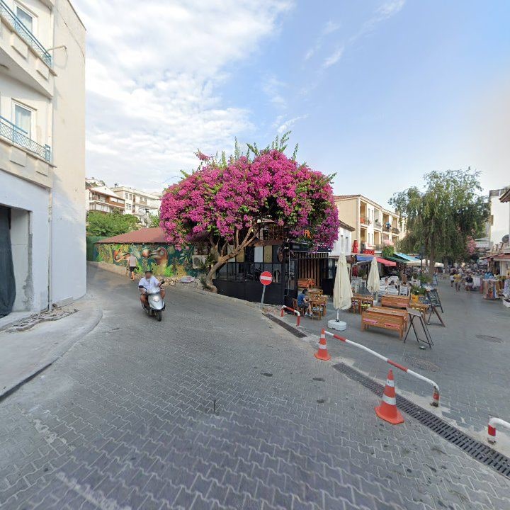 Fotoğraf 11