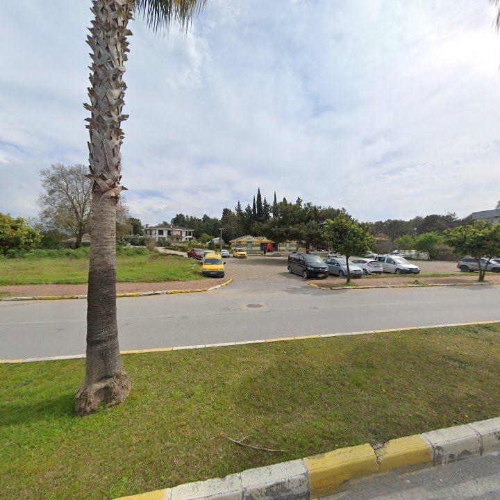 Fotoğraf 8