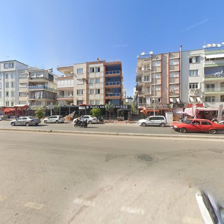 Fotoğraf 7