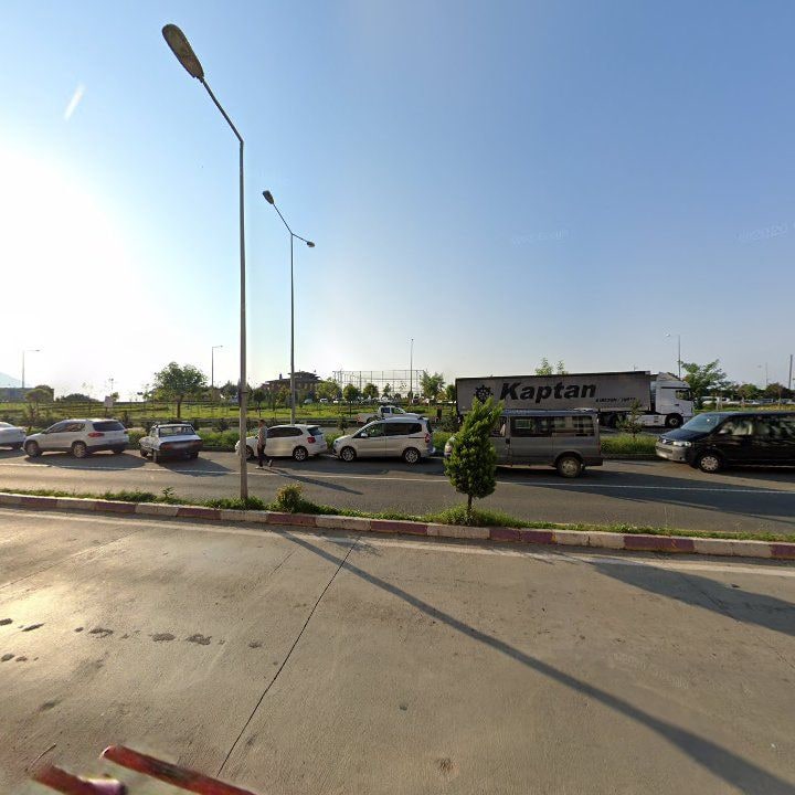 Fotoğraf 8
