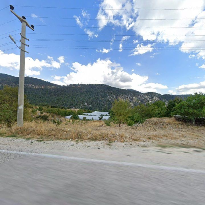 Fotoğraf 10