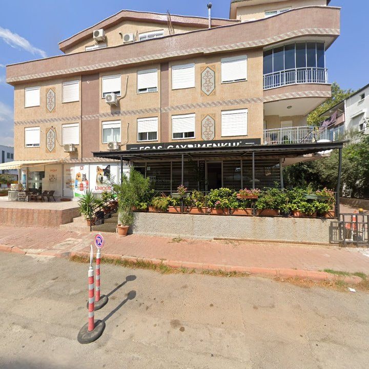 Fotoğraf 7