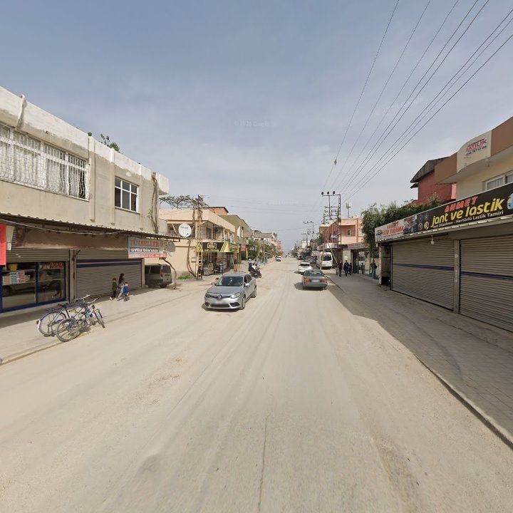 Fotoğraf 6