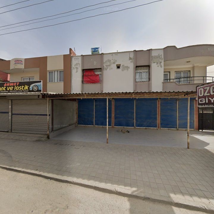 Fotoğraf 7