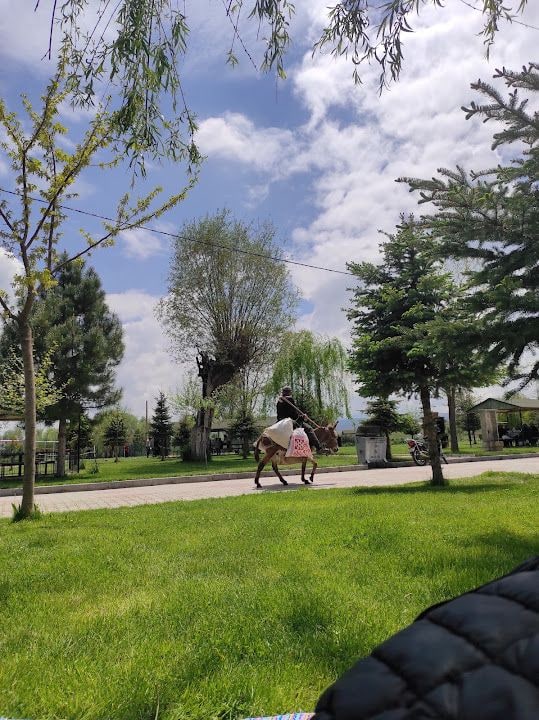 Fotoğraf 4